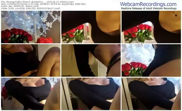 2023/01/27/showup-_borderline___-20-00-12