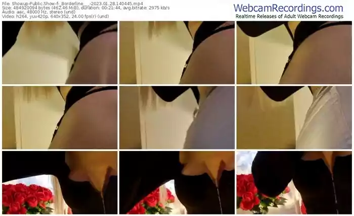 2023/01/28/showup-_borderline___-14-04-45