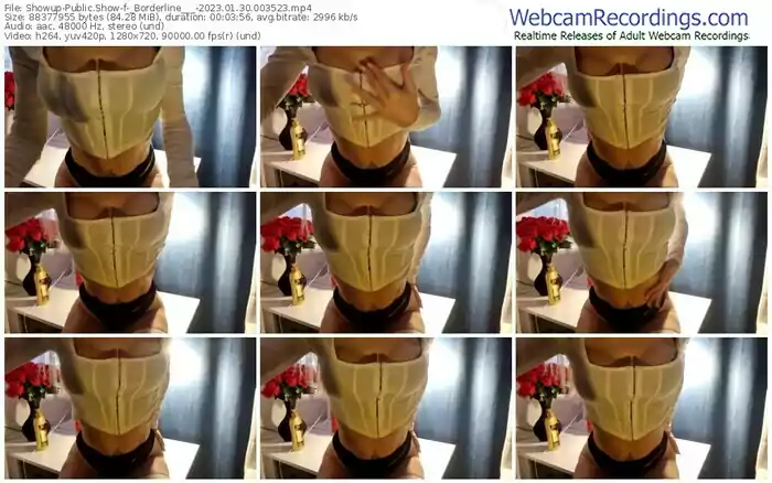 2023/01/30/showup-_borderline___-00-35-23