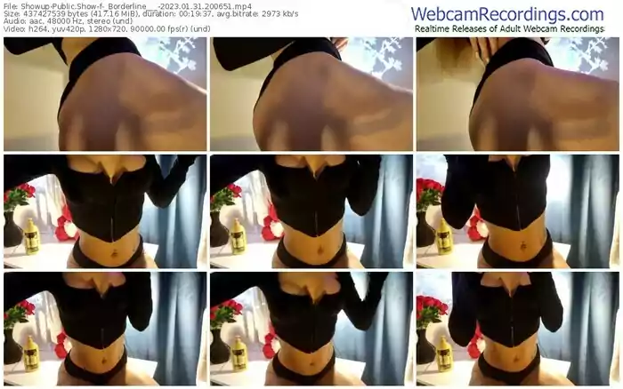 2023/01/31/showup-_borderline___-20-06-51