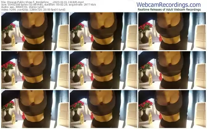 2023/02/01/showup-_borderline___-19-18-45