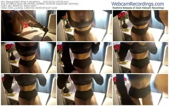 2023/02/01/showup-_borderline___-19-27-03