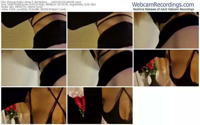 2023/02/03/showup-_borderline___-16-03-41