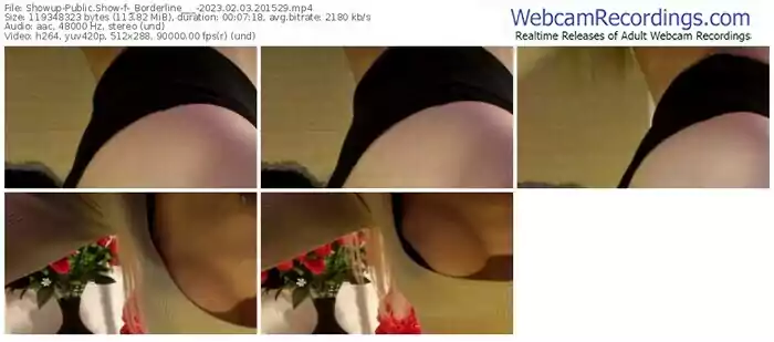 2023/02/03/showup-_borderline___-20-15-29