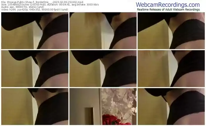 2023/02/06/showup-_borderline___-15-16-02