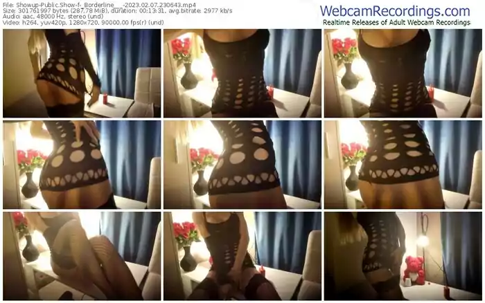 2023/02/07/showup-_borderline___-23-06-43