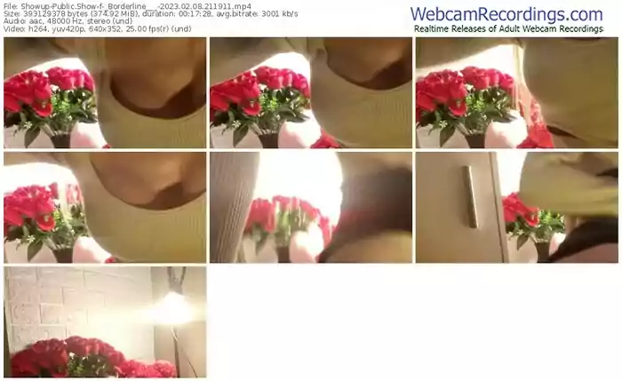 2023/02/08/showup-_borderline___-21-19-11