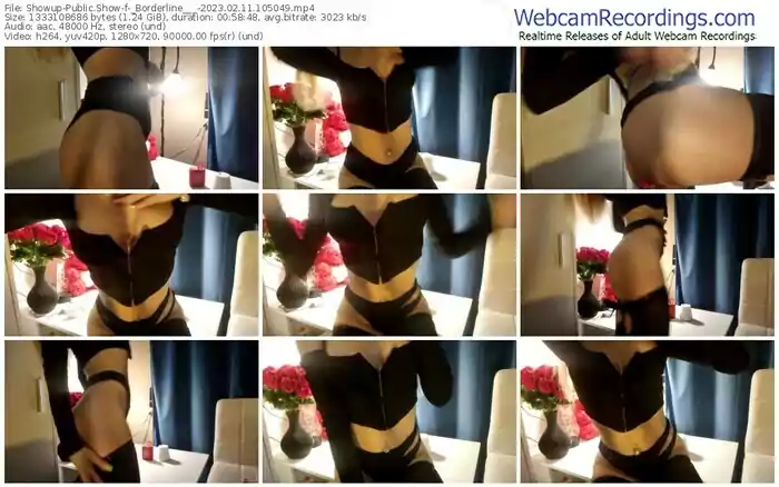 2023/02/11/showup-_borderline___-10-50-49