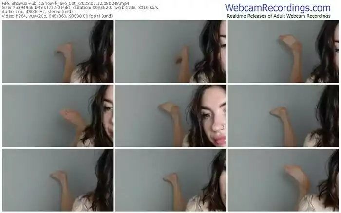 2023/02/12/showup-_two_cat_-08-02-48