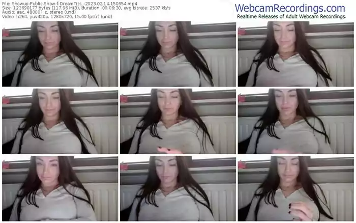 2023/02/14/showup-dreamtits_-15-09-54