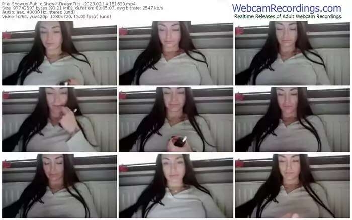 2023/02/14/showup-dreamtits_-15-16-39