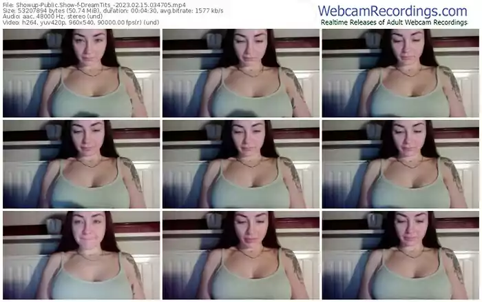 2023/02/15/showup-dreamtits_-03-47-05