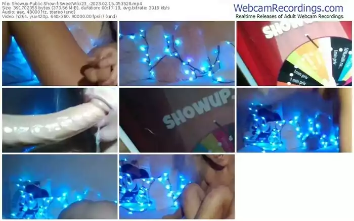 2023/02/15/showup-sweetwiki23_-05-35-28
