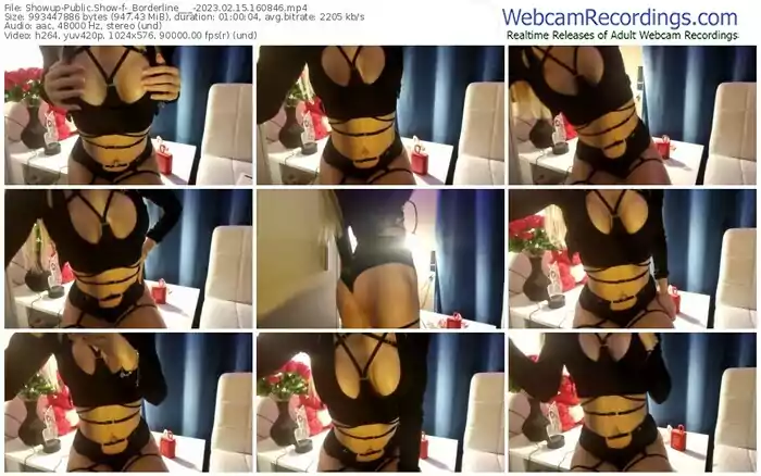 2023/02/15/showup-_borderline___-16-08-46