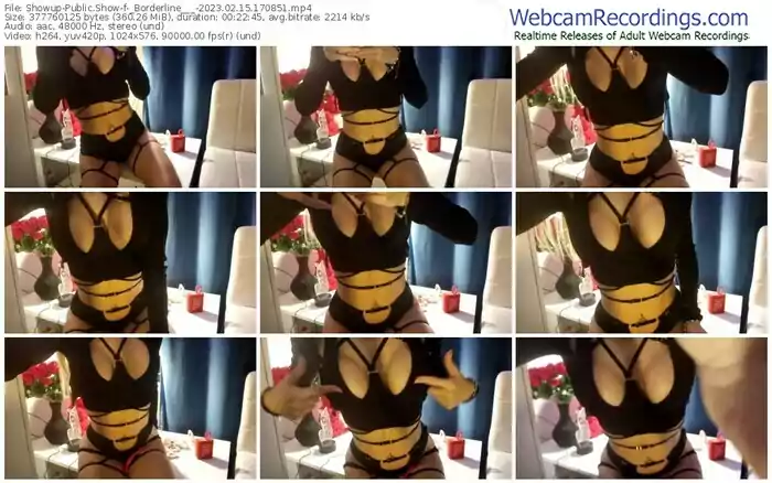 2023/02/15/showup-_borderline___-17-08-51