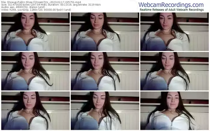 2023/02/17/showup-dreamtits_-03-57-51