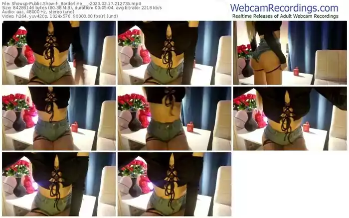 2023/02/17/showup-_borderline___-21-27-35