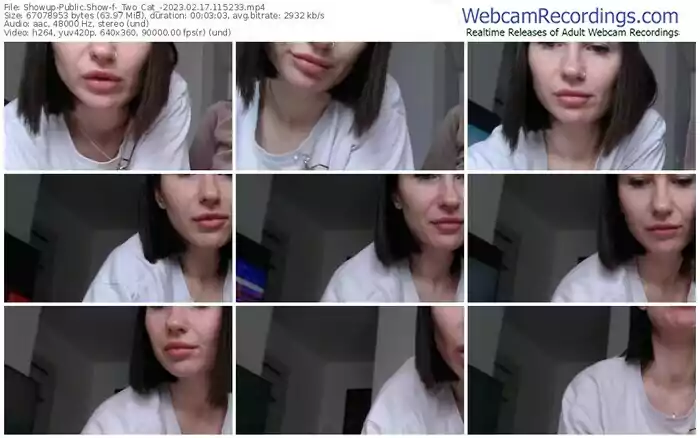 2023/02/17/showup-_two_cat_-11-52-33