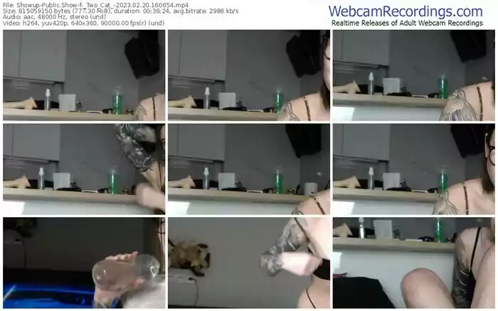 2023/02/20/showup-_two_cat_-16-06-54