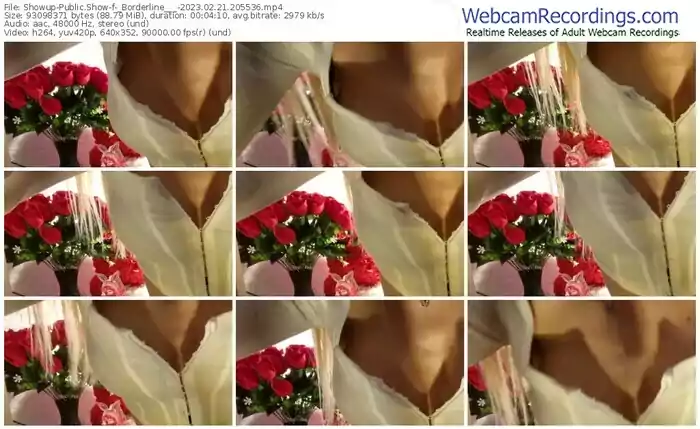 2023/02/21/showup-_borderline___-20-55-36