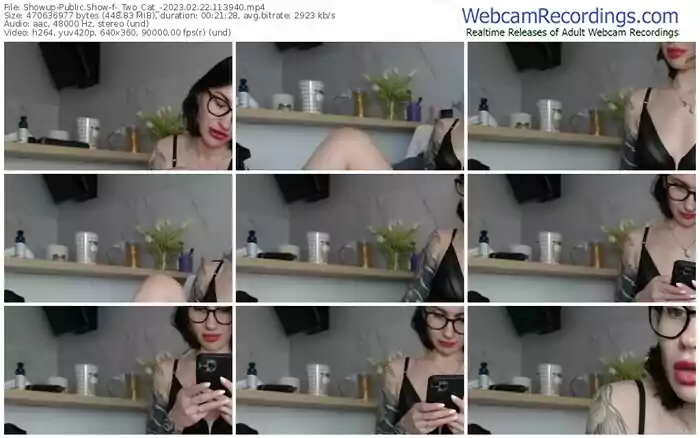 2023/02/22/showup-_two_cat_-11-39-40