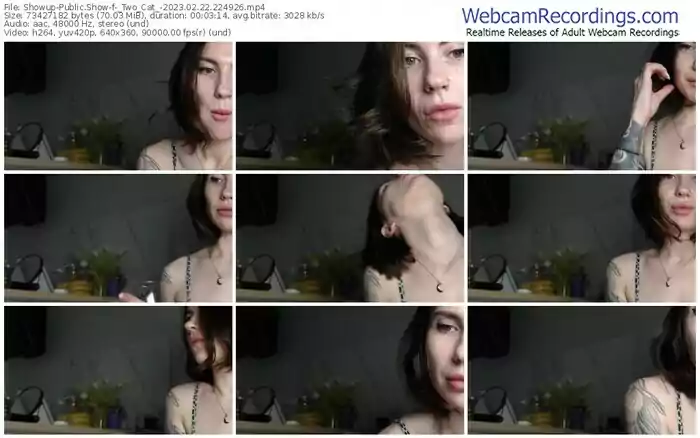 2023/02/22/showup-_two_cat_-22-49-26