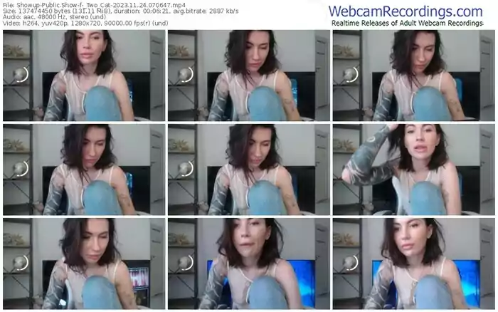 2023/11/24/showup-_two_cat-07-06-47