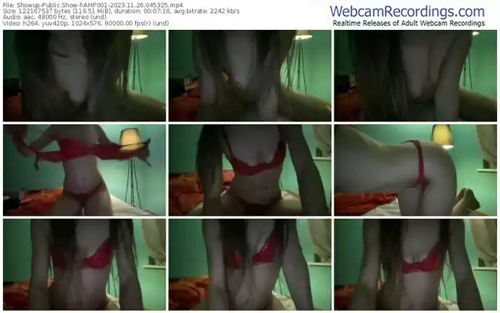 2023/11/26/showup-amp001-04-53-25