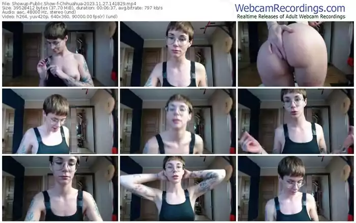 2023/11/27/showup-chihuahua-14-18-29