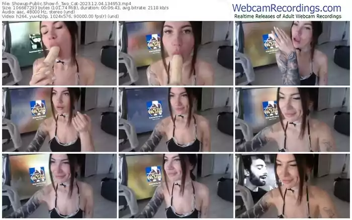 2023/12/04/showup-_two_cat-13-49-53