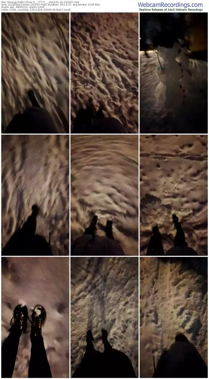 2024/01/20/showup-__77777__-23-04-27