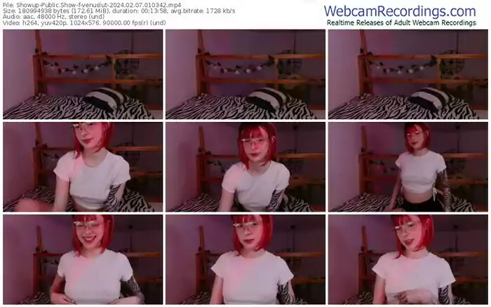 2024/02/07/showup-venuslut-01-03-42