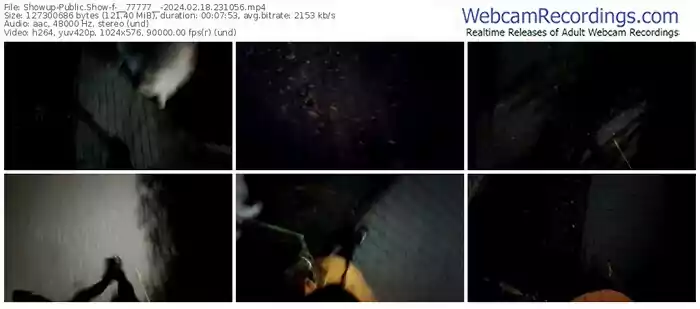 2024/02/18/showup-__77777__-23-10-56