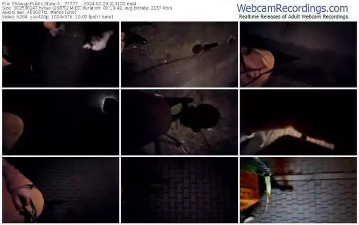 2024/02/23/showup-__77777__-01-31-03