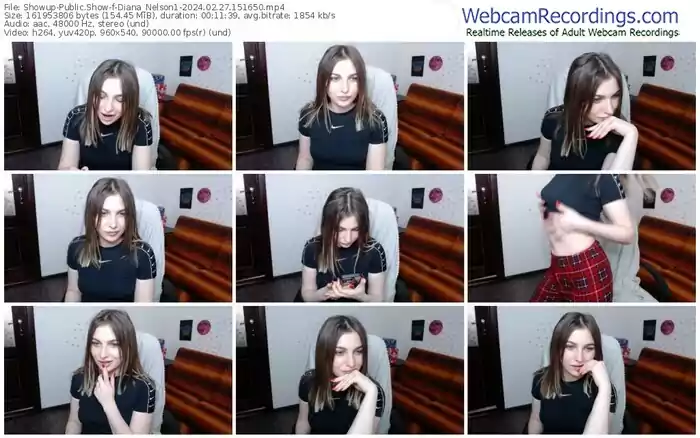 2024/02/27/showup-diana_nelson1-15-16-50