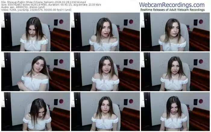 2024/02/28/showup-diana_nelson1-10-32-34