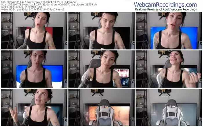 2024/03/09/showup-_two_cat-17-11-43