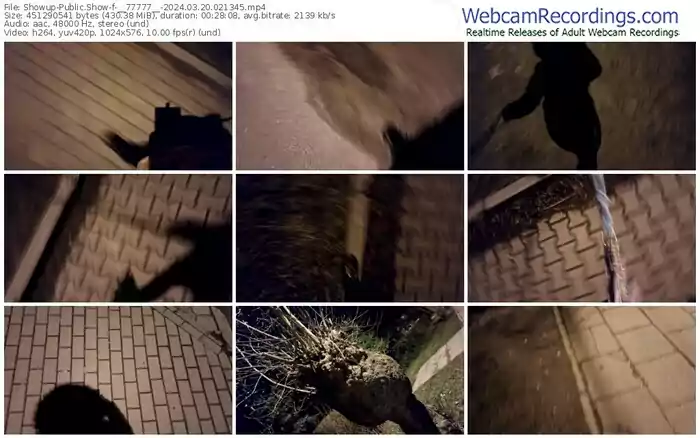 2024/03/20/showup-__77777__-02-13-45