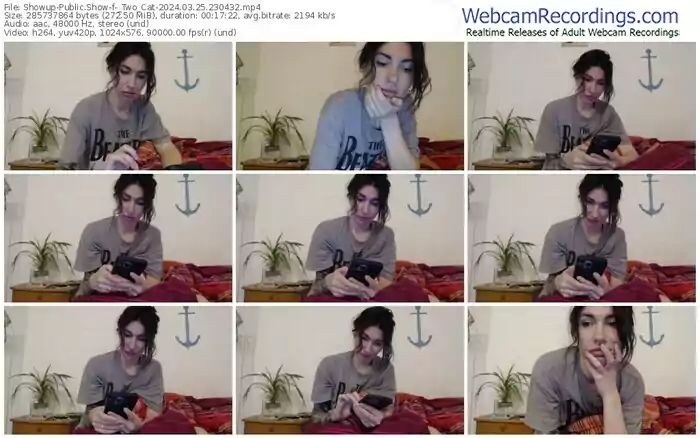 2024/03/25/showup-_two_cat-23-04-32