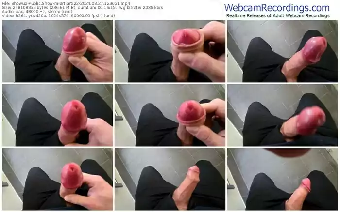 2024/03/27/showup-artiarti22-12-36-51