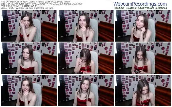 2024/04/01/showup-diana_nelson1-10-36-15