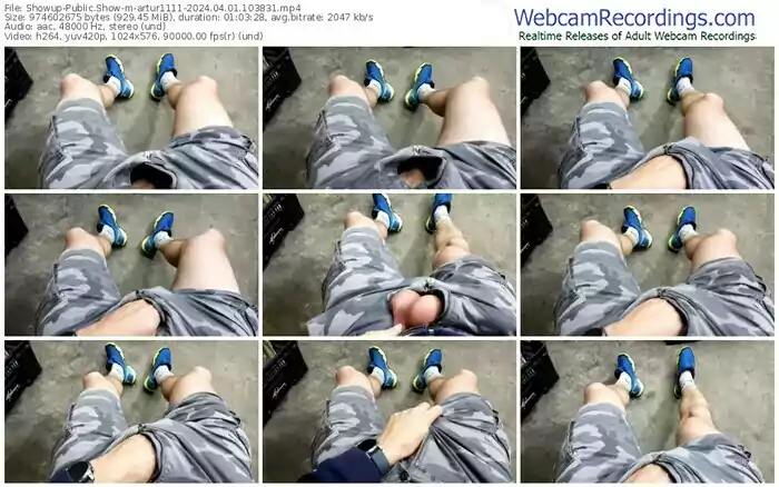 2024/04/01/showup-artur1111-10-38-31