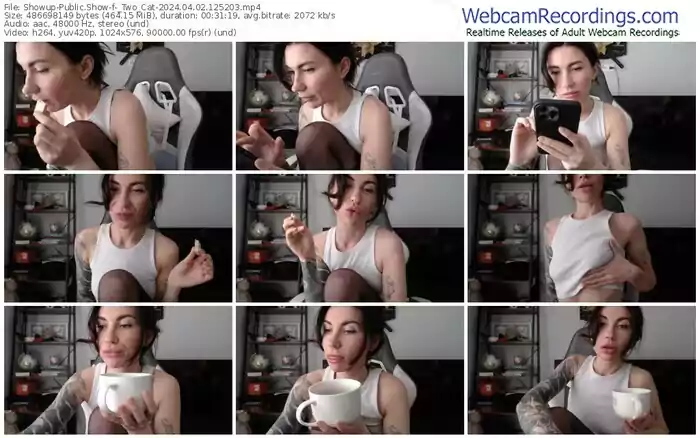 2024/04/02/showup-_two_cat-12-52-03