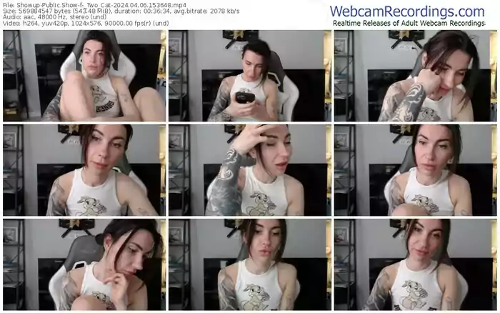 2024/04/06/showup-_two_cat-15-36-48