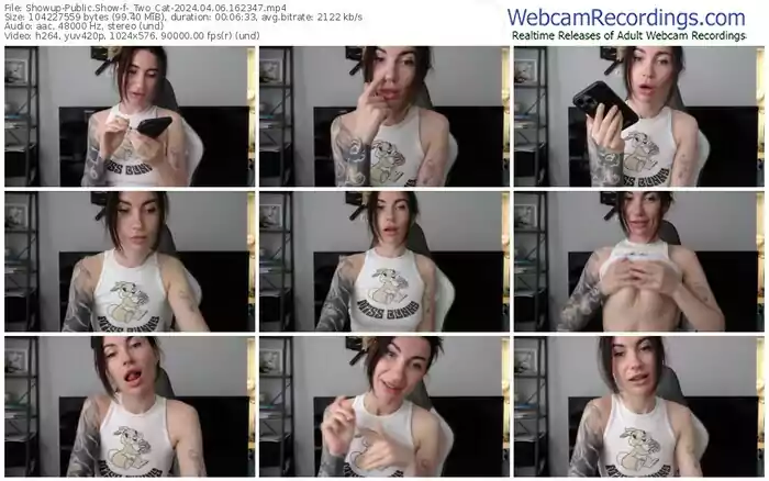 2024/04/06/showup-_two_cat-16-23-47