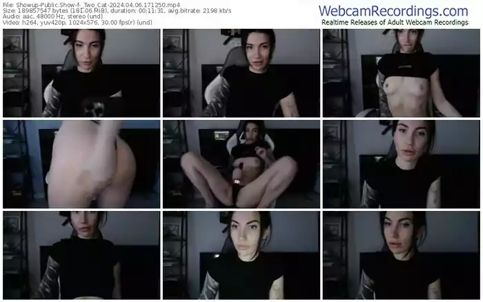 2024/04/06/showup-_two_cat-17-12-50