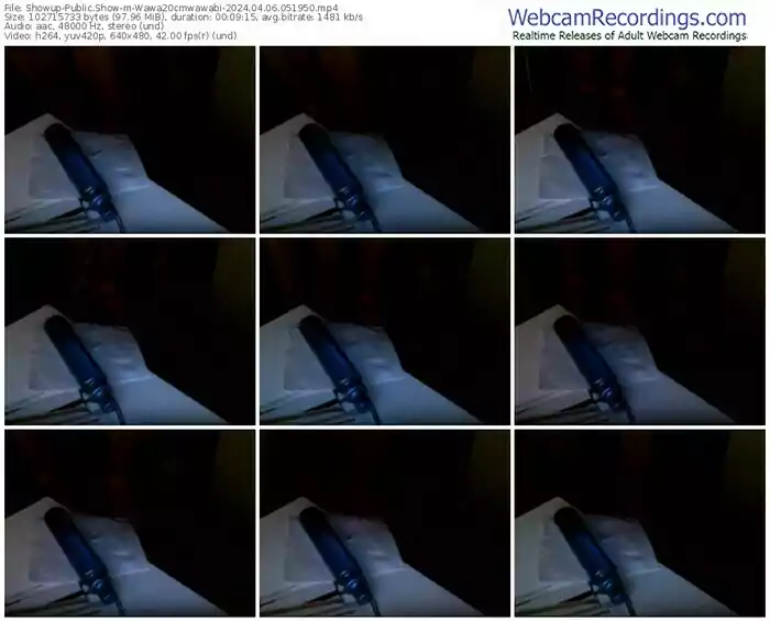 2024/04/06/showup-wawa20cmwawabi-05-19-50