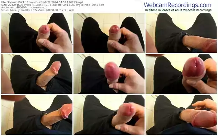 2024/04/07/showup-artiarti22-12-08-33