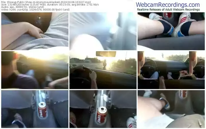 2024/04/08/showup-anonymoushacked-16-32-27