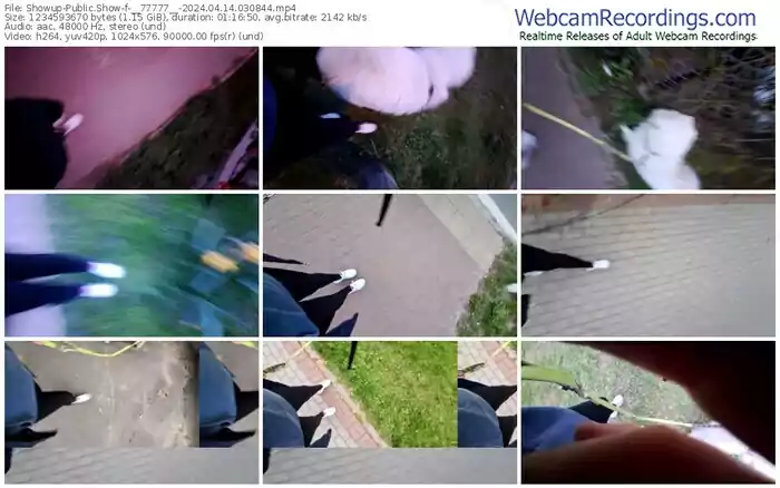 2024/04/14/showup-__77777__-03-08-44